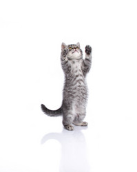 Similar image 21545151