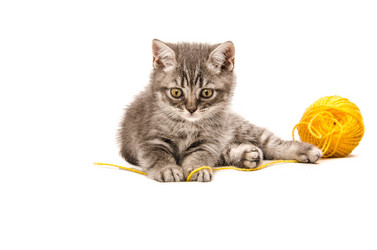 Similar image 21545154