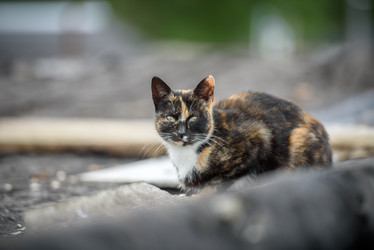 Similar image 21545383