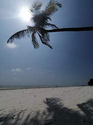 Similar image 21539021