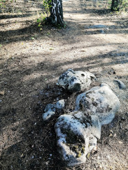 Similar image 21546110