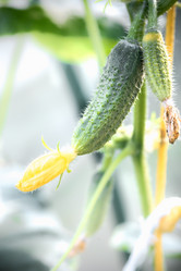 Similar image 21545610