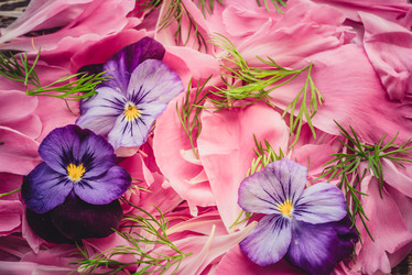 Similar image 21545612