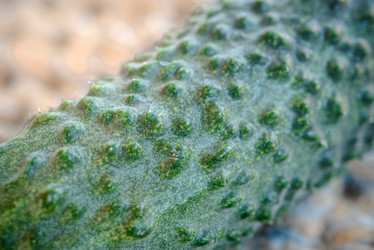 Similar image 21541256