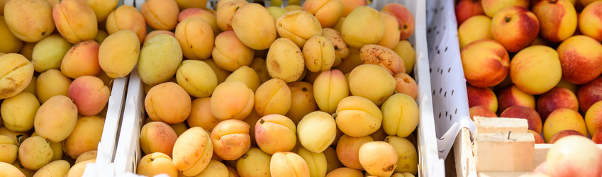 Similar image 21541264