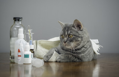 Similar image 21541267