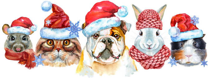 Similar image 21542552