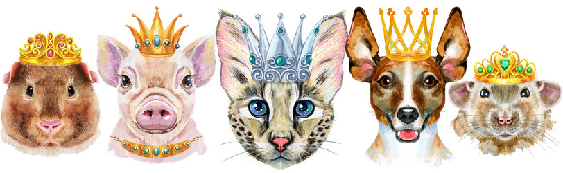 Similar image 21542553