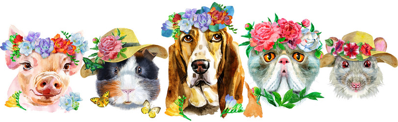 Similar image 21546816