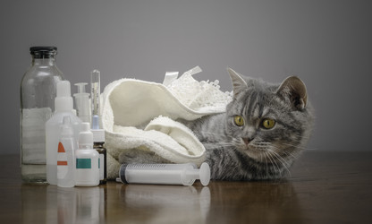 Similar image 21541675