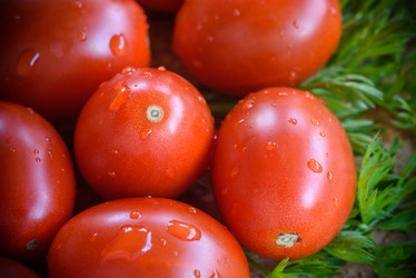 Similar image 21541676