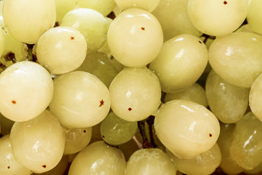 Similar image 21541678