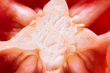 Similar image 21541682