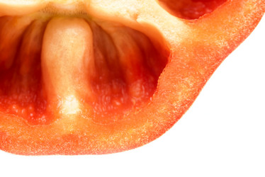 Similar image 21541686