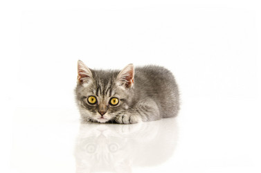 Similar image 21541688