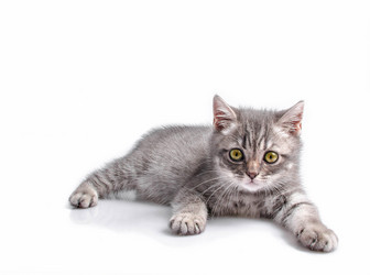 Similar image 21541690