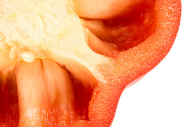 Similar image 21541691