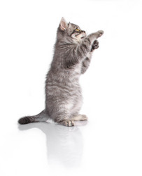 Similar image 21541692