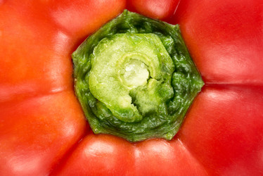 Similar image 21541693