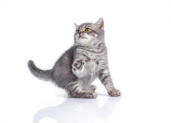 Similar image 21541694