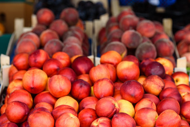 Similar image 21541695