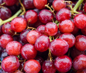 Similar image 21541978