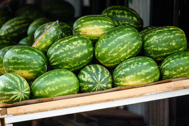 Similar image 21541982