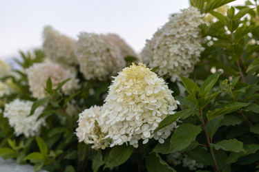 Similar image 21539471