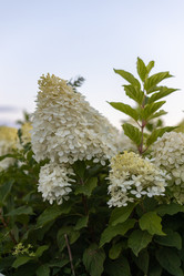 Similar image 21539472