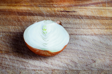 Similar image 21540144