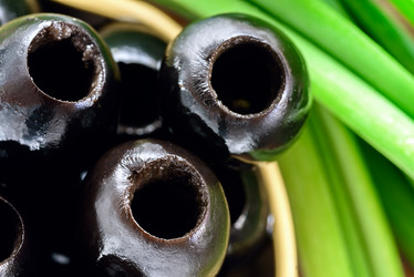 Similar image 21544934