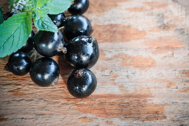 Similar image 21544939