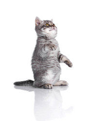 Similar image 21545163