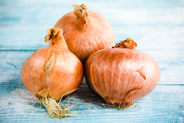 Similar image 21541986