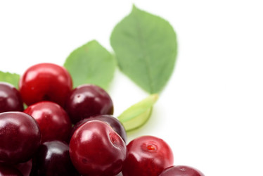 Similar image 21540733