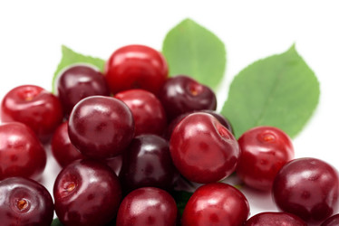 Similar image 21545167