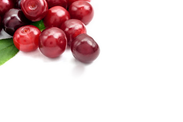 Similar image 21545169