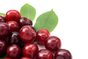 Similar image 21545389