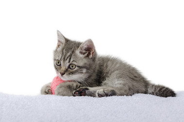 Similar image 21540958