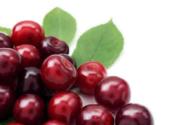 Similar image 21540962