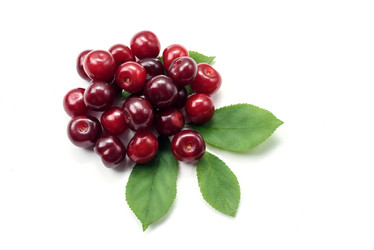 Similar image 21540964