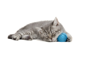 Similar image 21545618