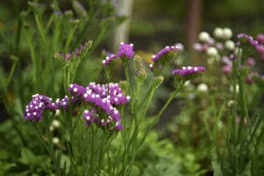 Similar image 21538681