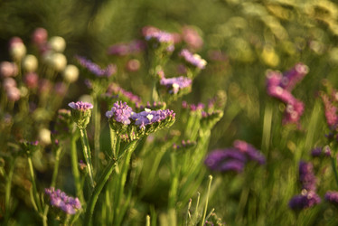 Similar image 21538683