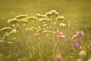 Similar image 21538685