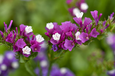 Similar image 21538688