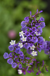 Similar image 21538690