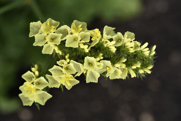 Similar image 21538691