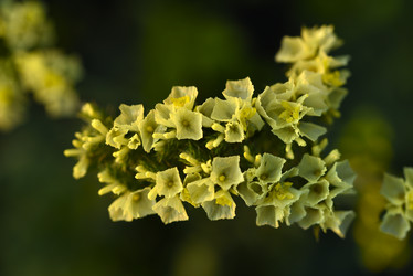 Similar image 21538692