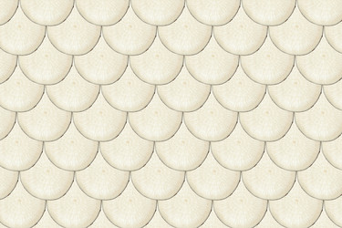 Similar image 21548495